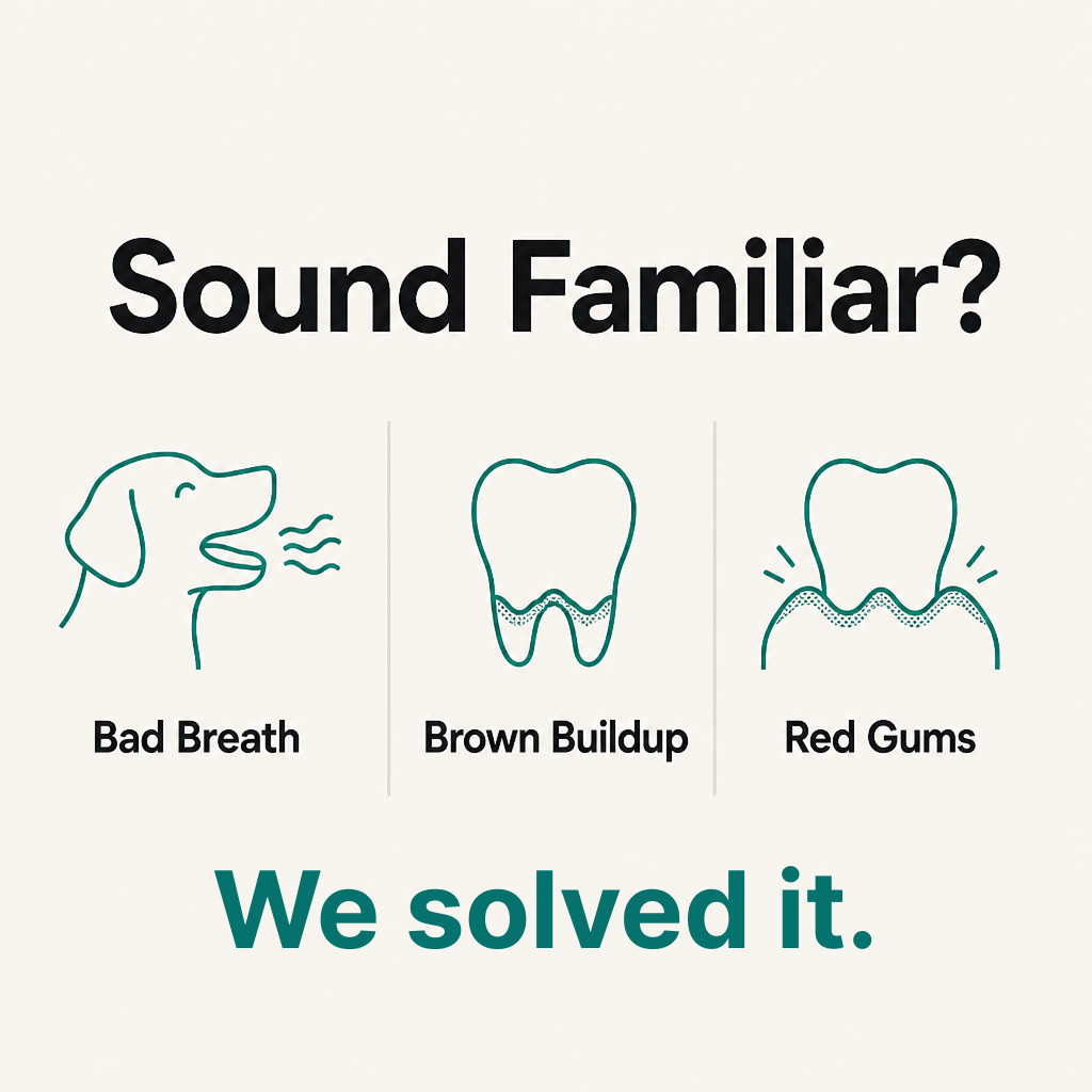 Petology Daily Dental Powder