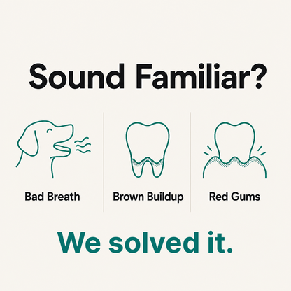 Petology Daily Dental Powder