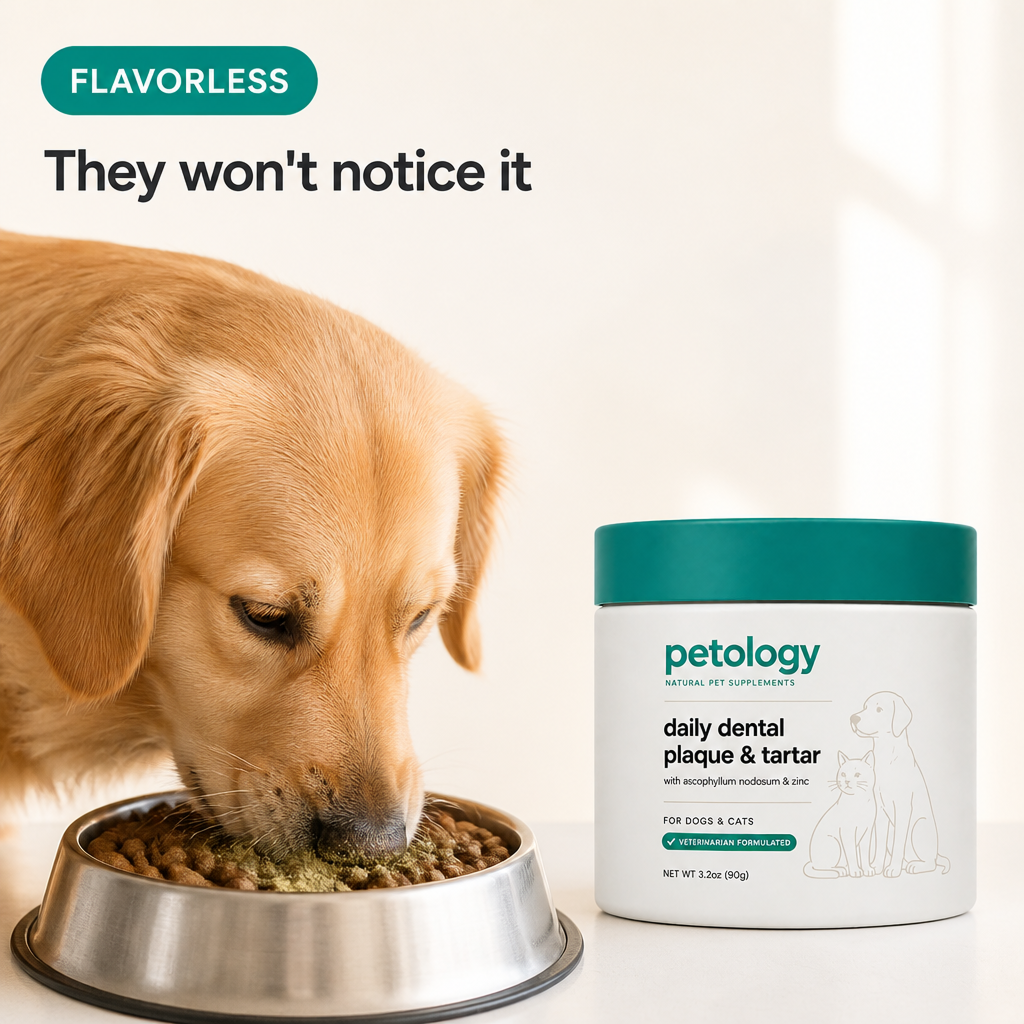 Petology Daily Dental Powder