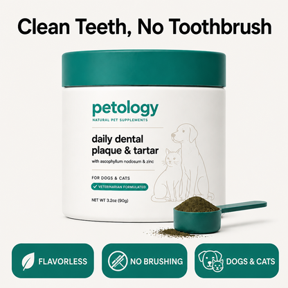 Petology Daily Dental Powder