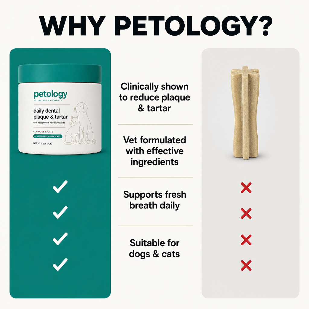 Petology Daily Dental Powder