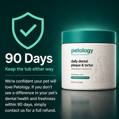 Petology Daily Dental Powder