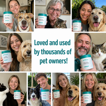 Petology Daily Dental Powder